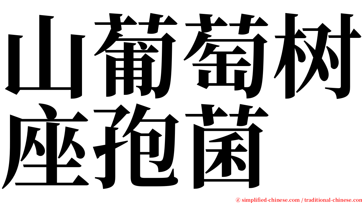 山葡萄树座孢菌 serif font