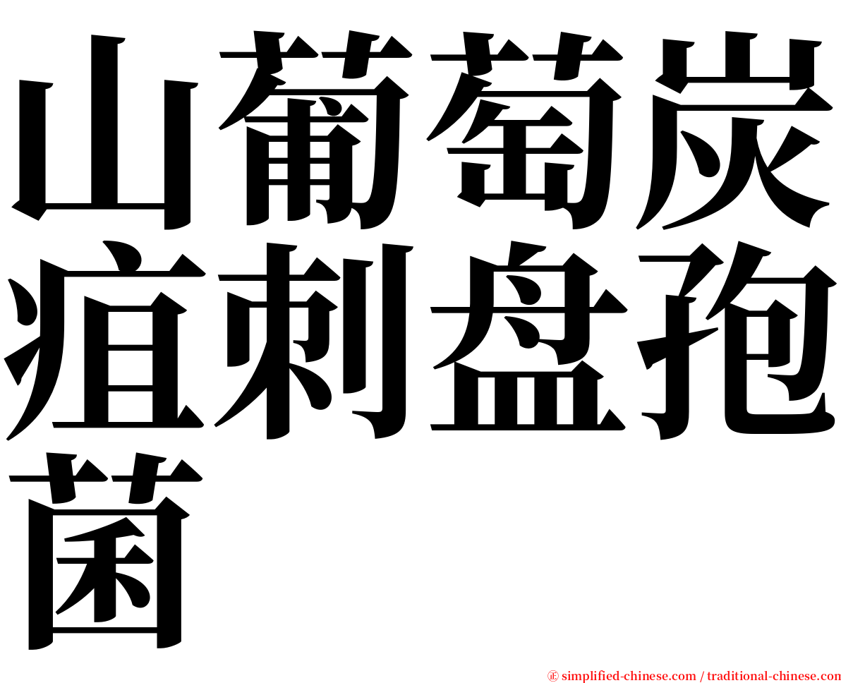 山葡萄炭疽刺盘孢菌 serif font