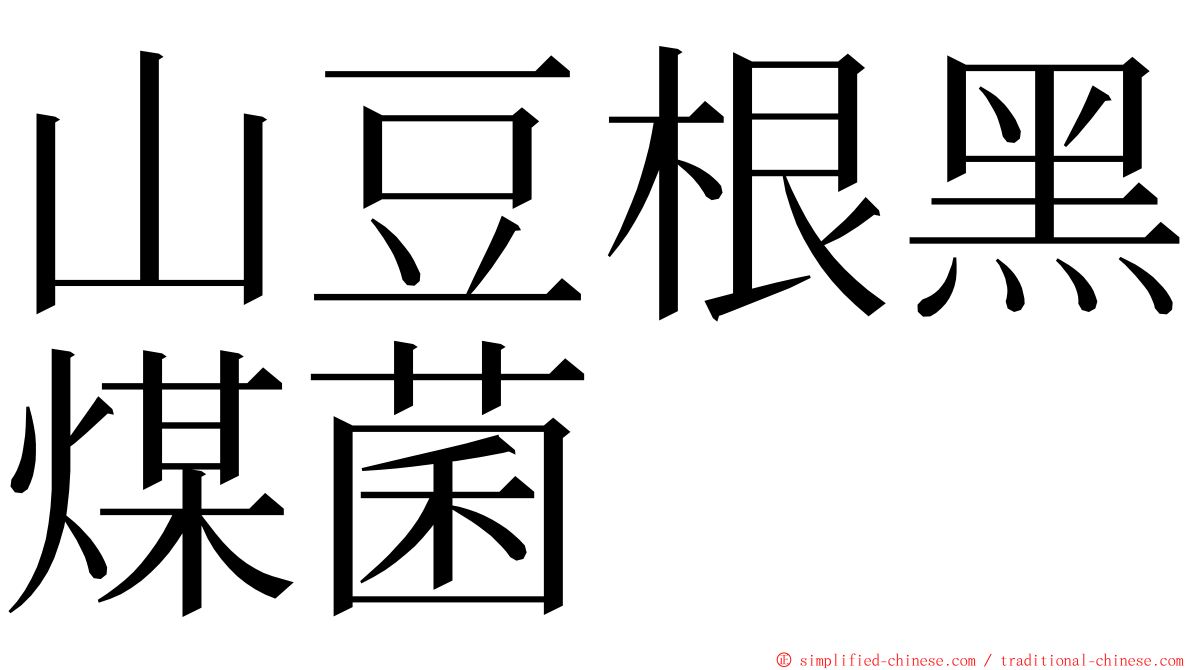 山豆根黑煤菌 ming font