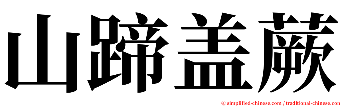 山蹄盖蕨 serif font