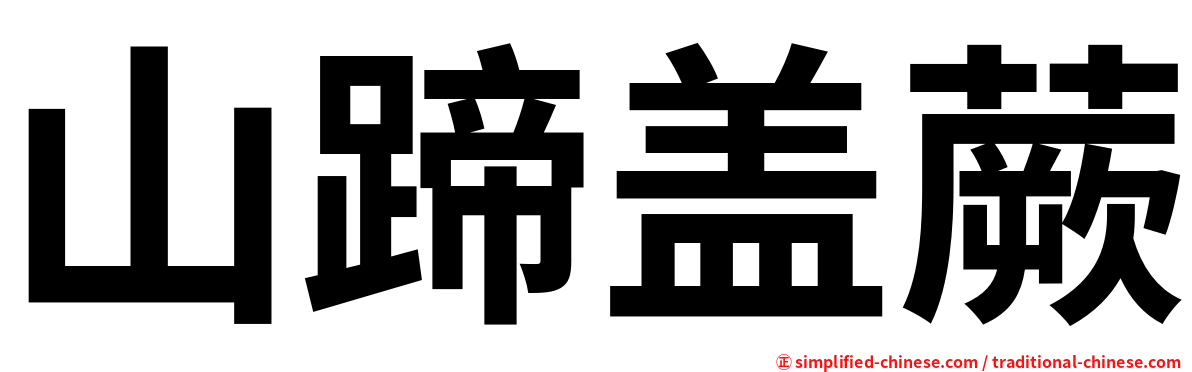 山蹄盖蕨