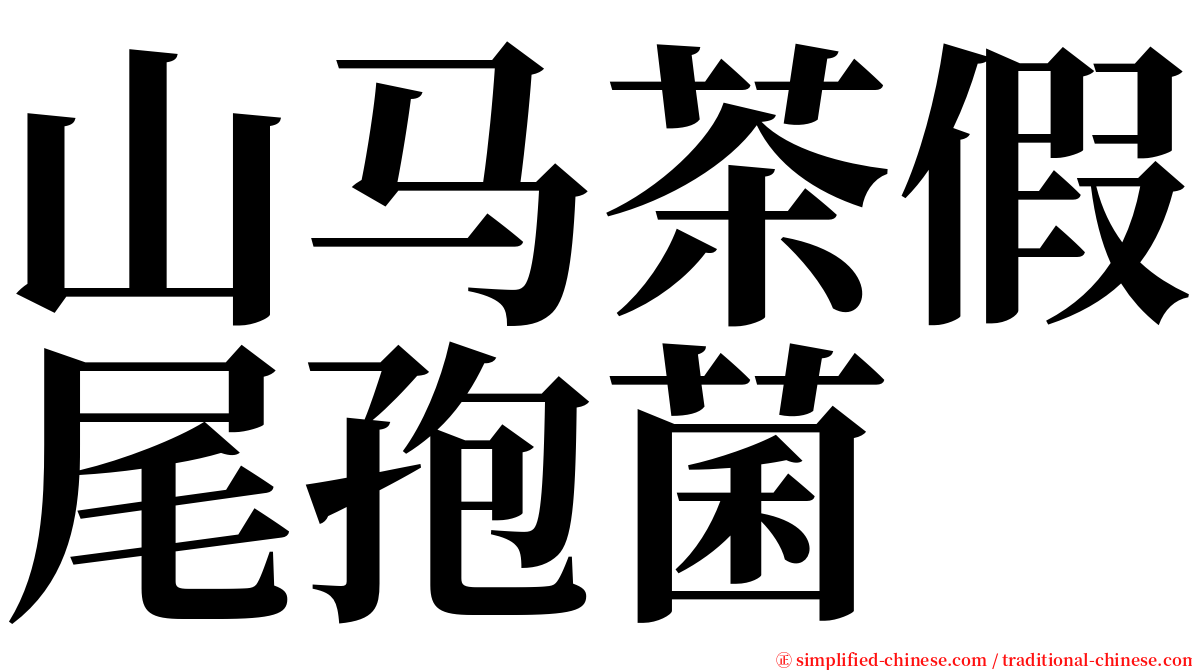 山马茶假尾孢菌 serif font