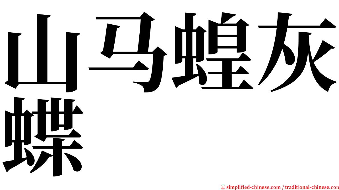 山马蝗灰蝶 serif font