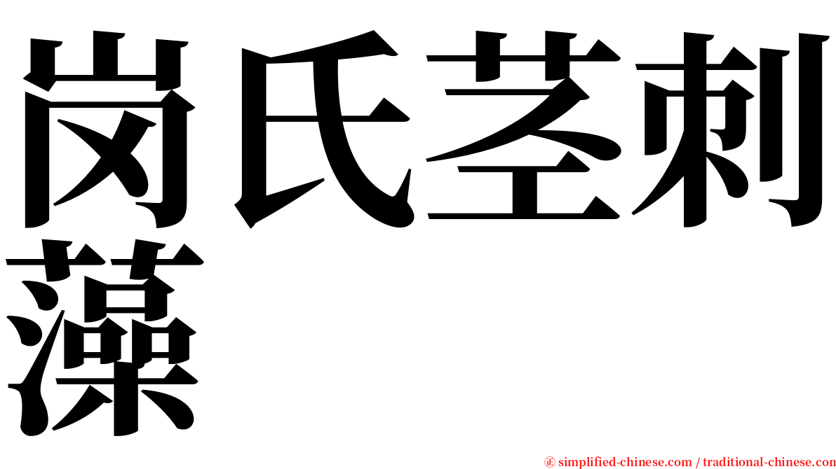 岗氏茎刺藻 serif font