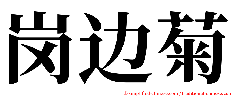 岗边菊 serif font