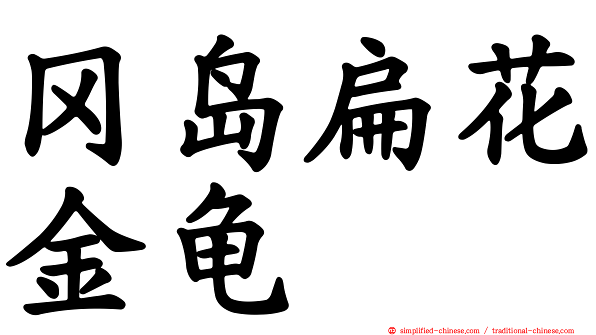 冈岛扁花金龟