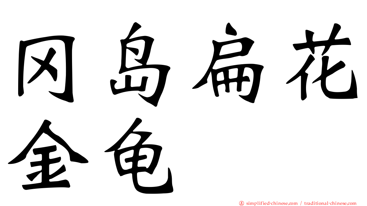 冈岛扁花金龟