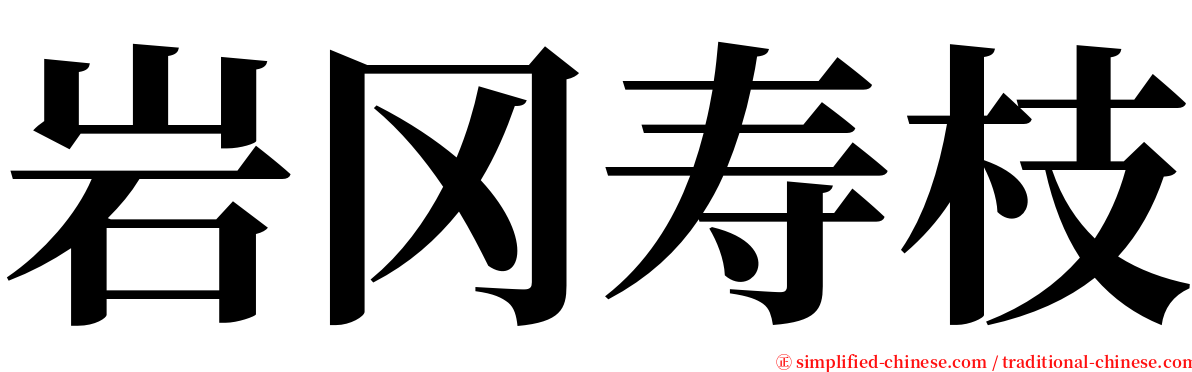 岩冈寿枝 serif font