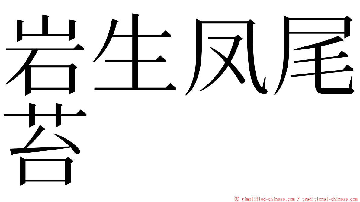 岩生凤尾苔 ming font