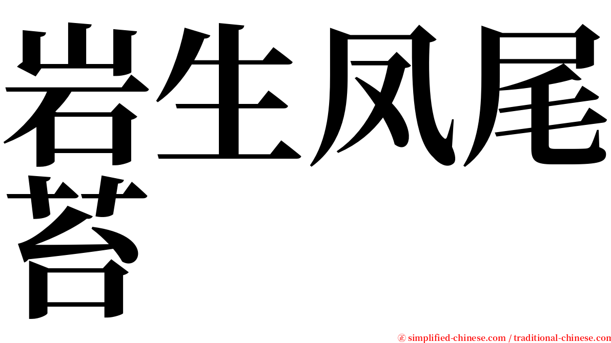 岩生凤尾苔 serif font