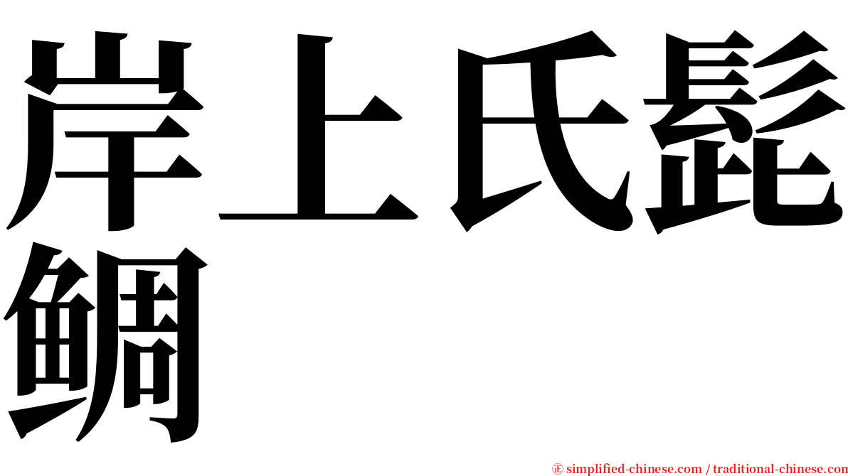 岸上氏髭鲷 serif font