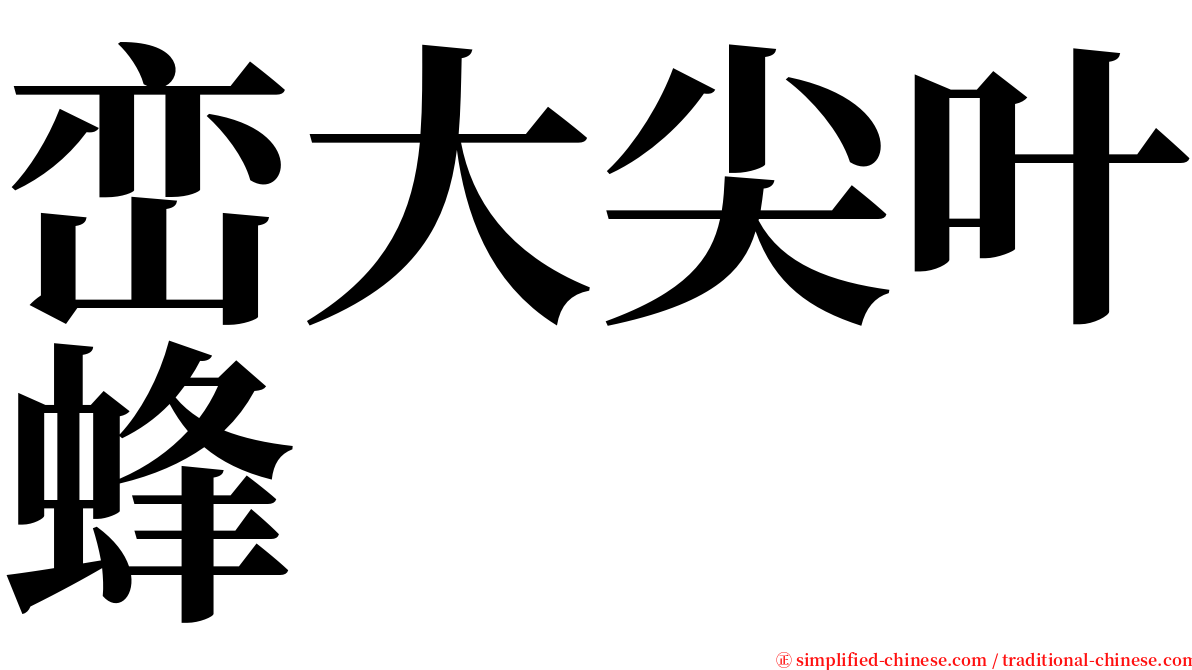 峦大尖叶蜂 serif font