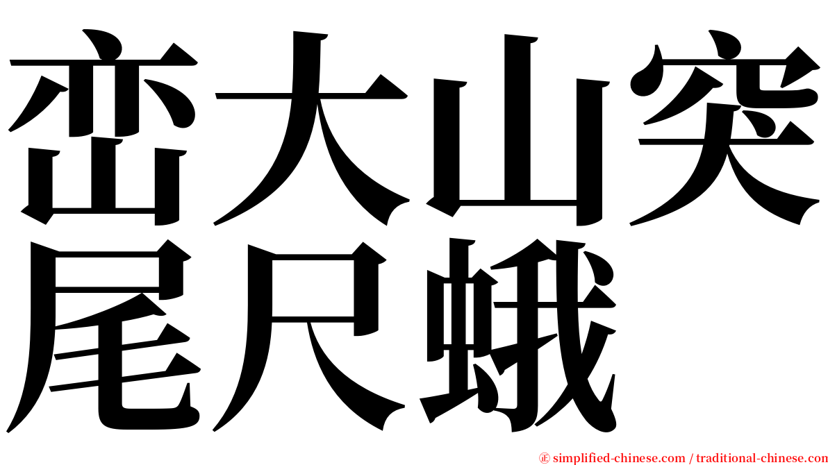 峦大山突尾尺蛾 serif font