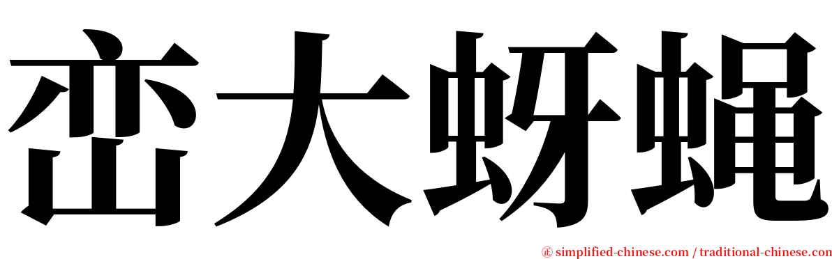 峦大蚜蝇 serif font