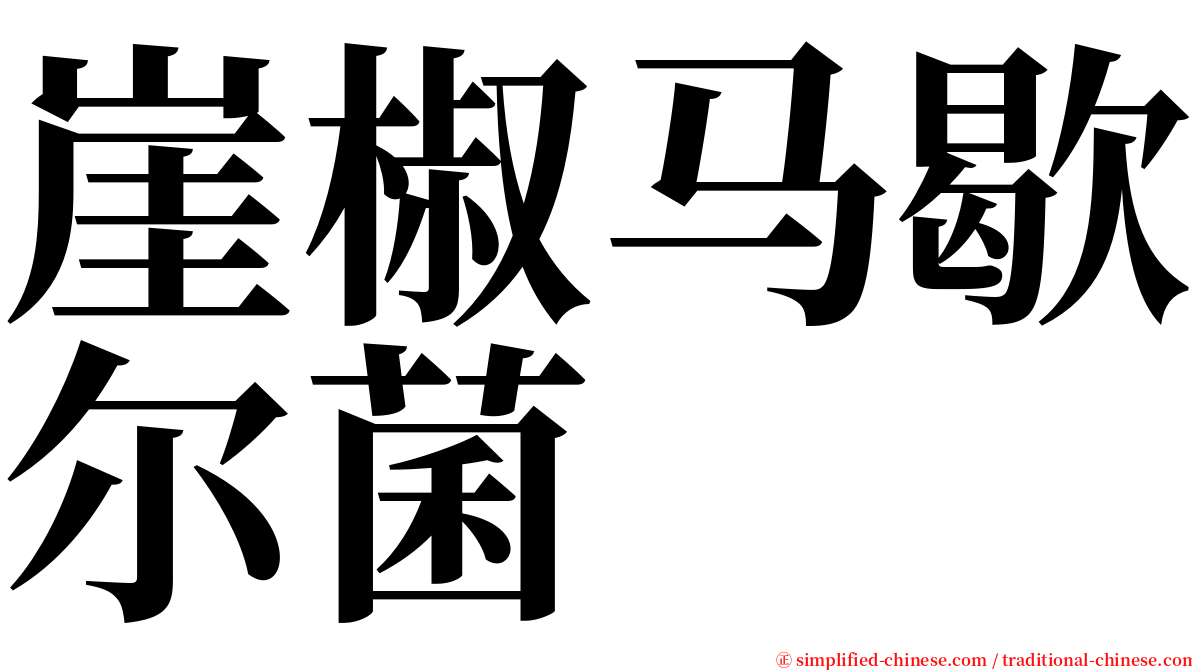 崖椒马歇尔菌 serif font