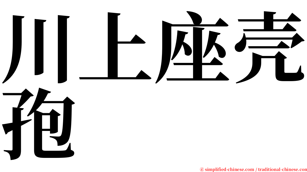 川上座壳孢 serif font