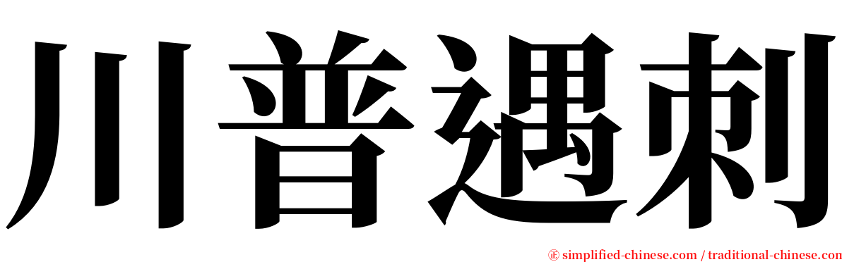 川普遇刺 serif font