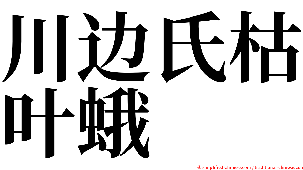 川边氏枯叶蛾 serif font