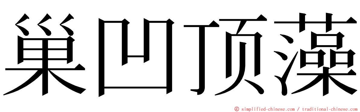 巢凹顶藻 ming font