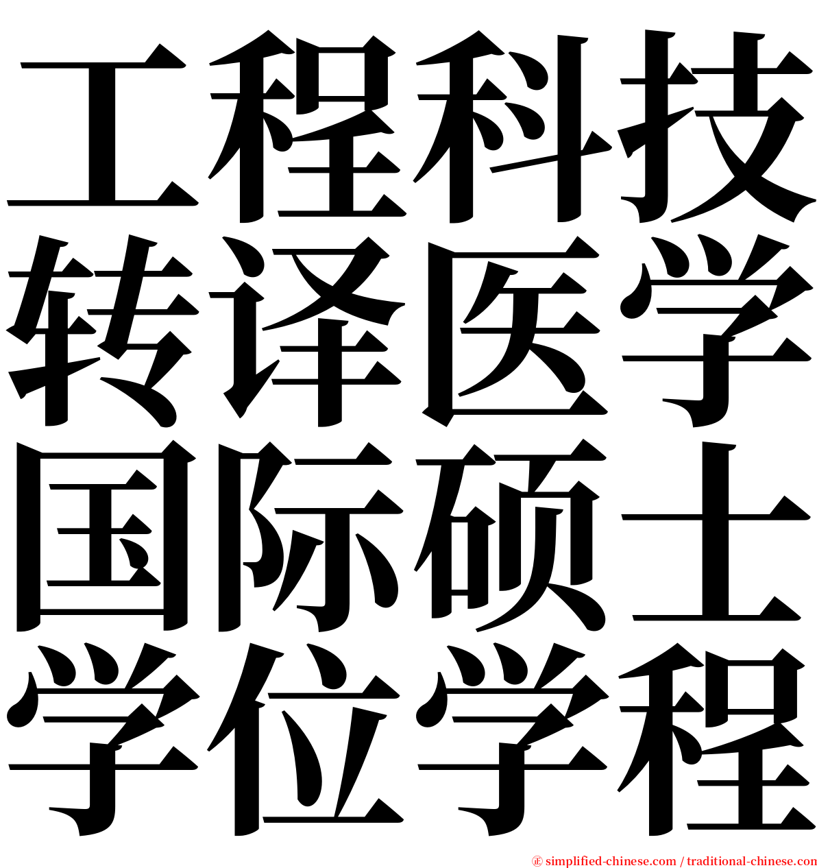 工程科技转译医学国际硕士学位学程 serif font