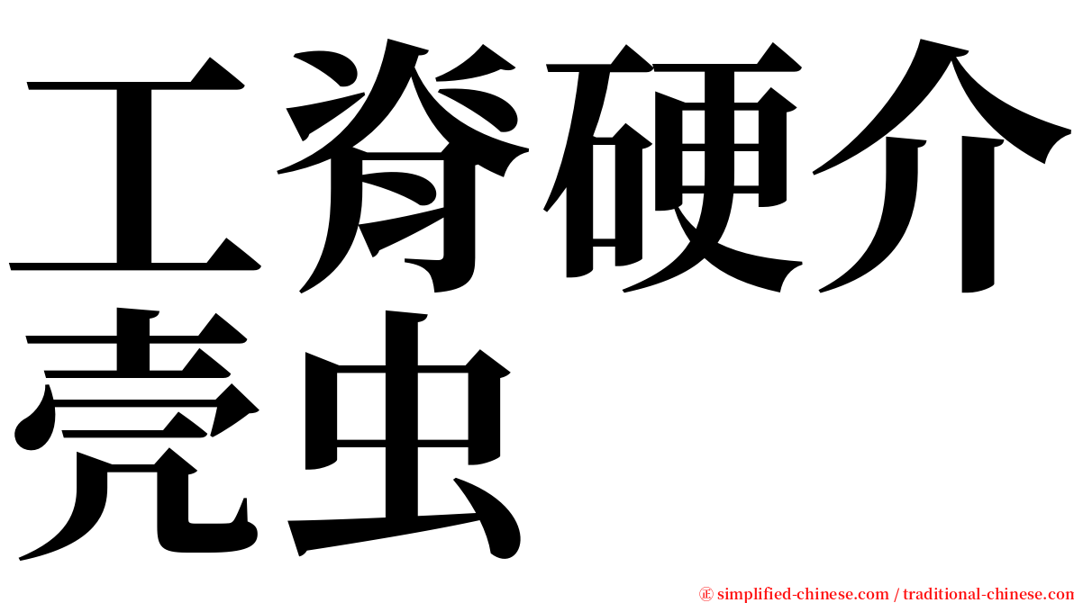 工脊硬介壳虫 serif font