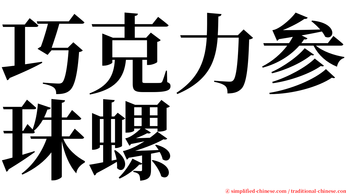 巧克力参珠螺 serif font