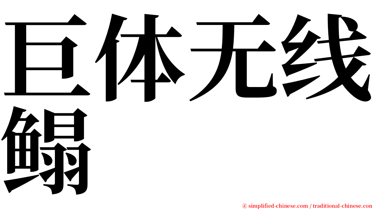 巨体无线鳎 serif font