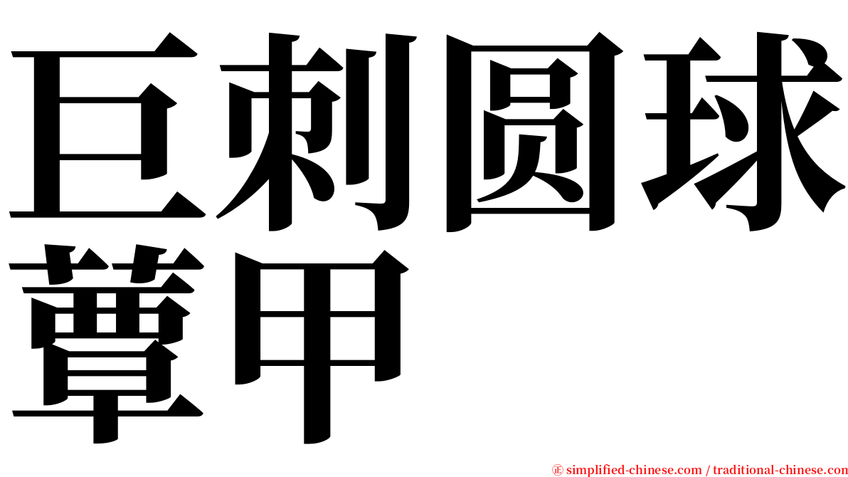 巨刺圆球蕈甲 serif font