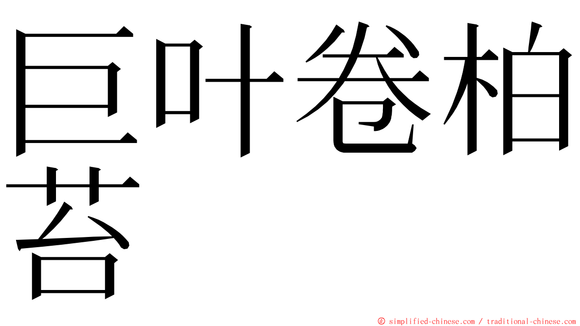 巨叶卷柏苔 ming font