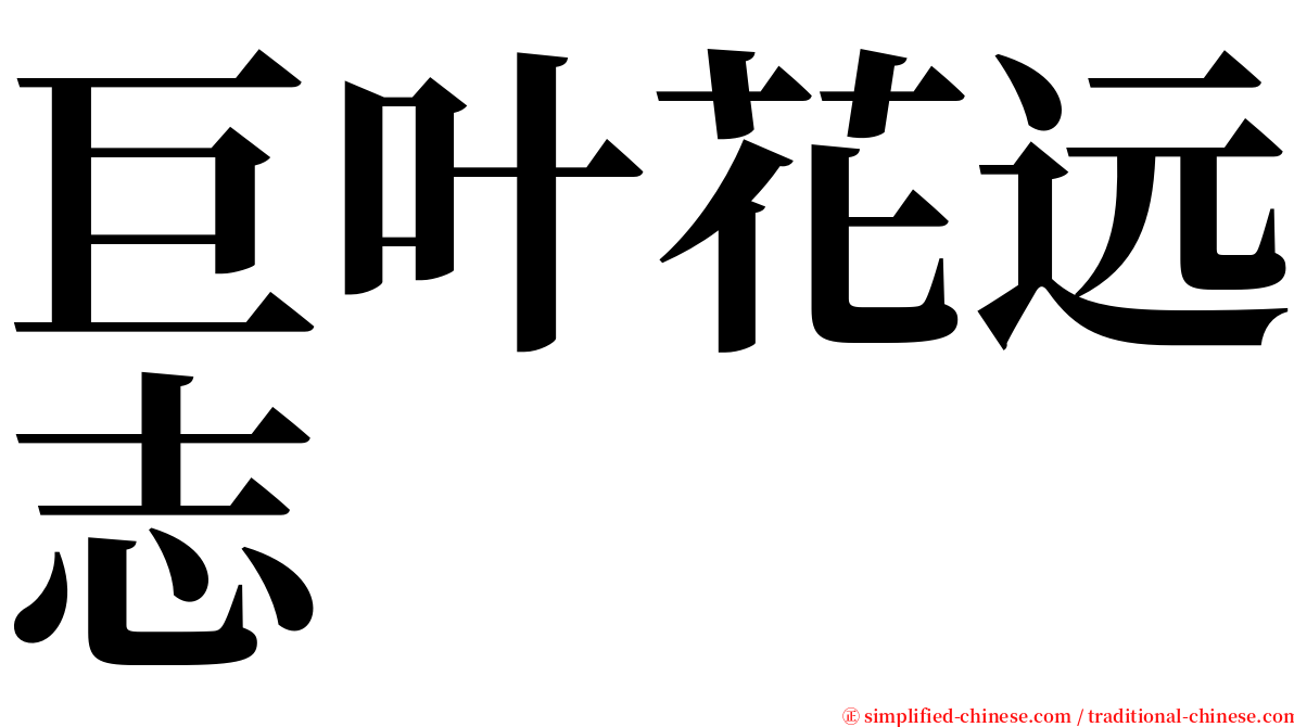 巨叶花远志 serif font