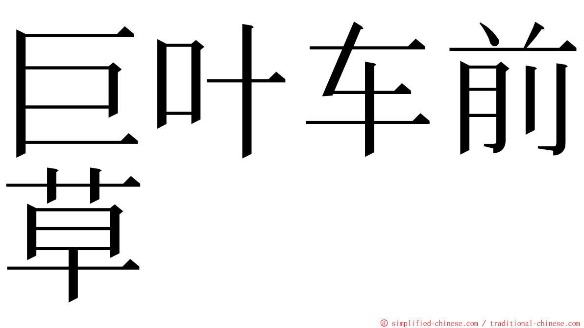 巨叶车前草 ming font