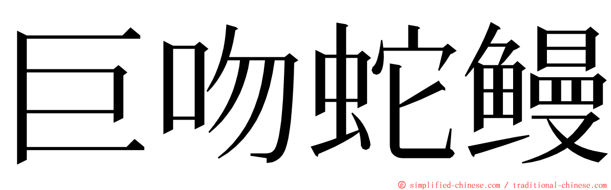 巨吻蛇鳗 ming font