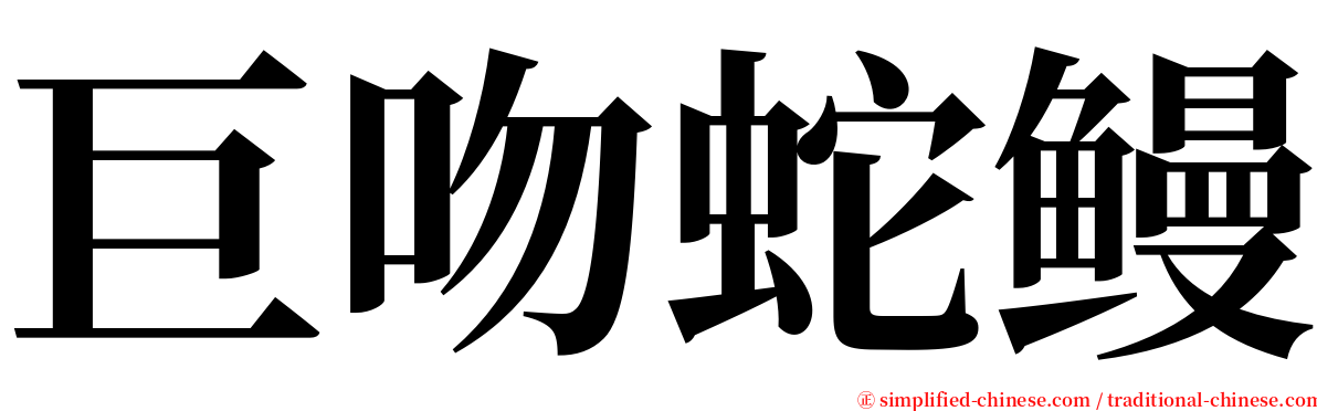 巨吻蛇鳗 serif font