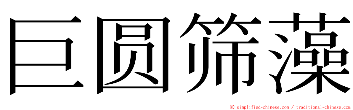 巨圆筛藻 ming font