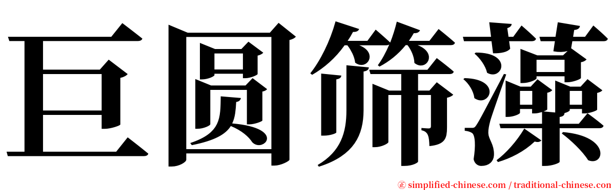 巨圆筛藻 serif font