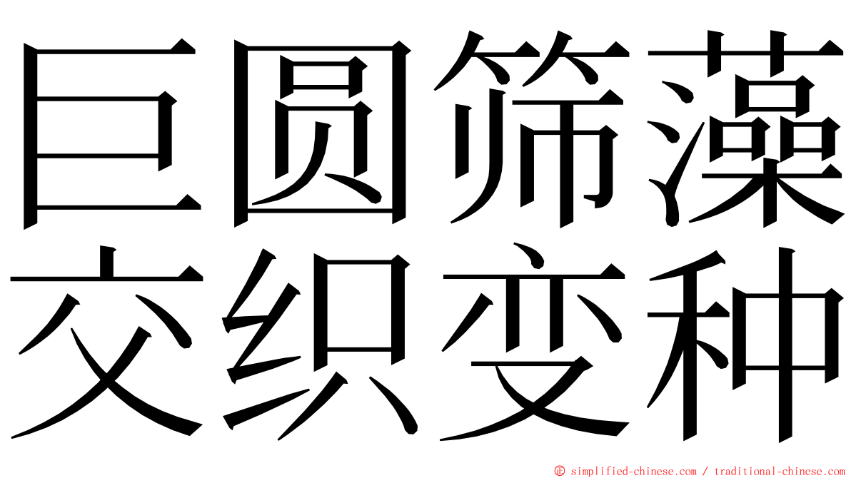 巨圆筛藻交织变种 ming font