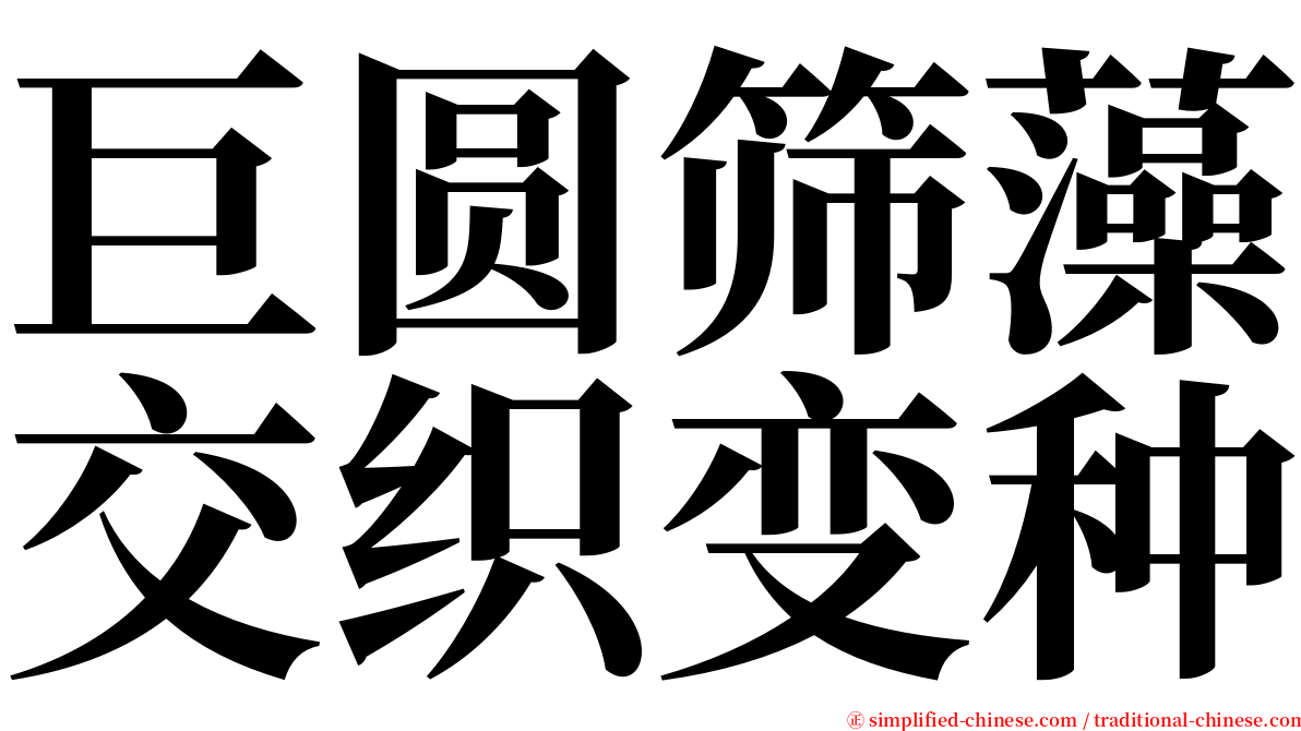 巨圆筛藻交织变种 serif font