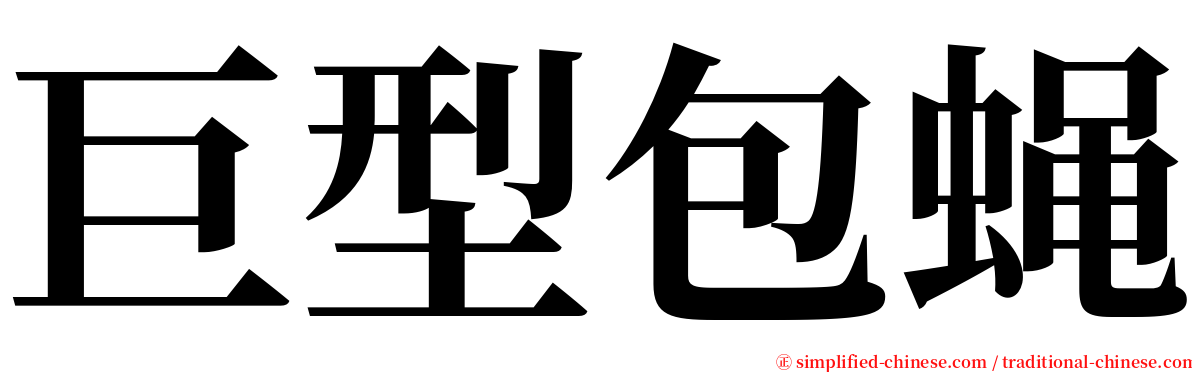 巨型包蝇 serif font