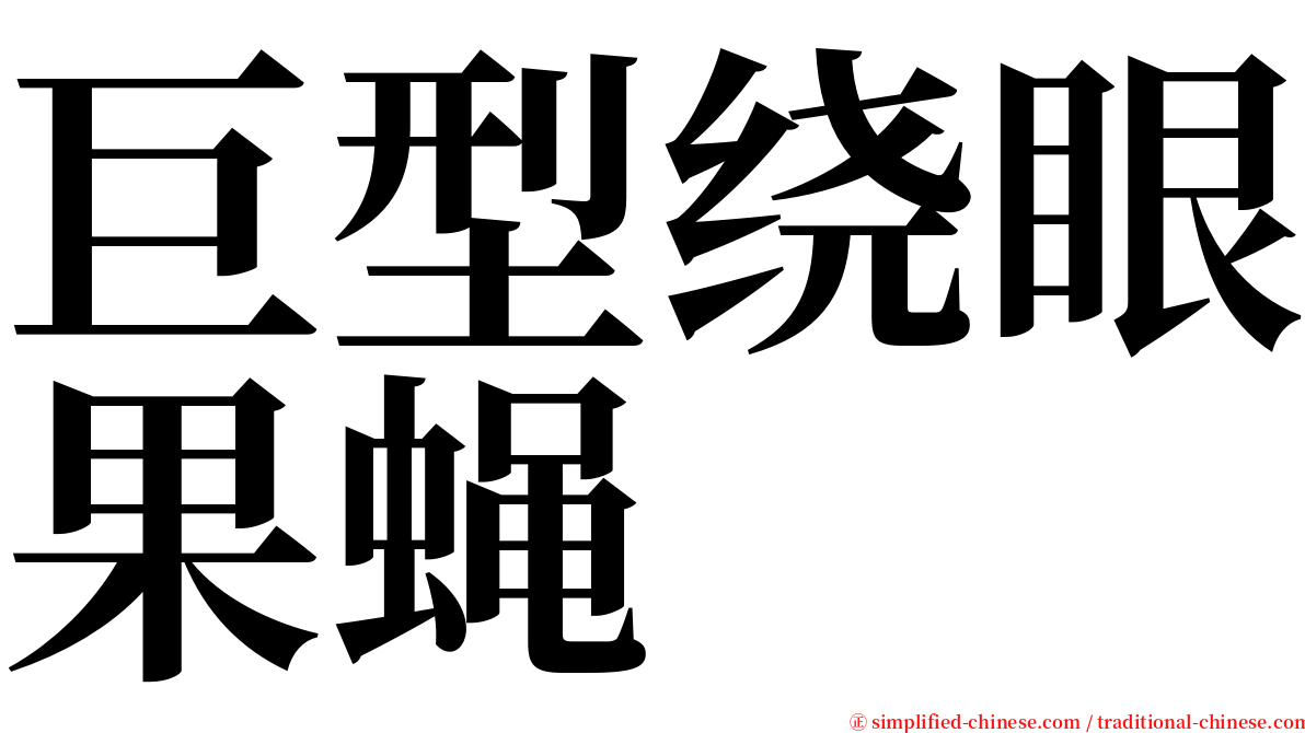 巨型绕眼果蝇 serif font