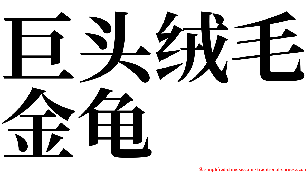 巨头绒毛金龟 serif font