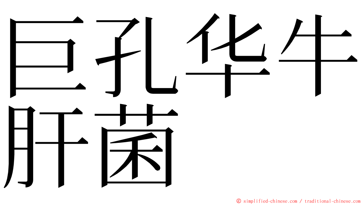 巨孔华牛肝菌 ming font