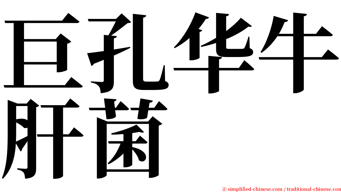 巨孔华牛肝菌 serif font