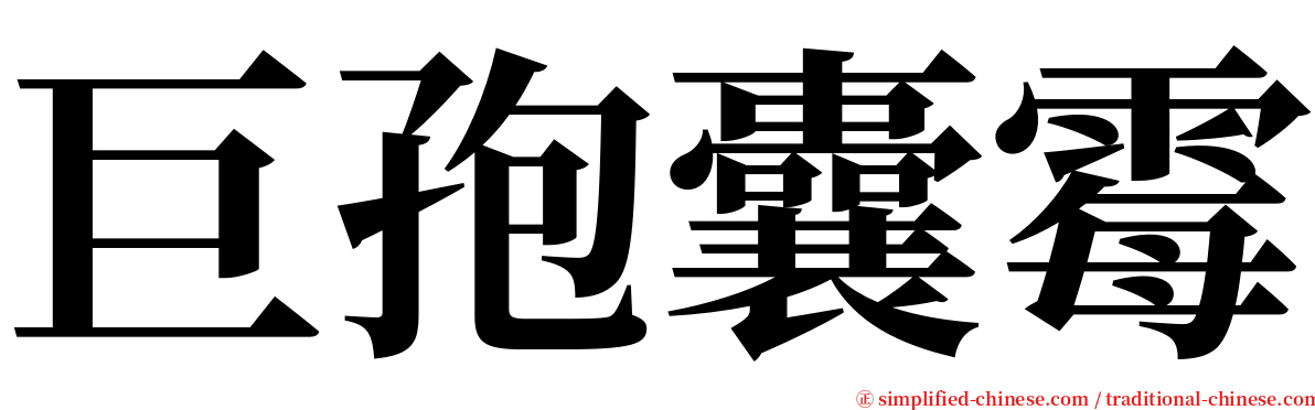 巨孢囊霉 serif font