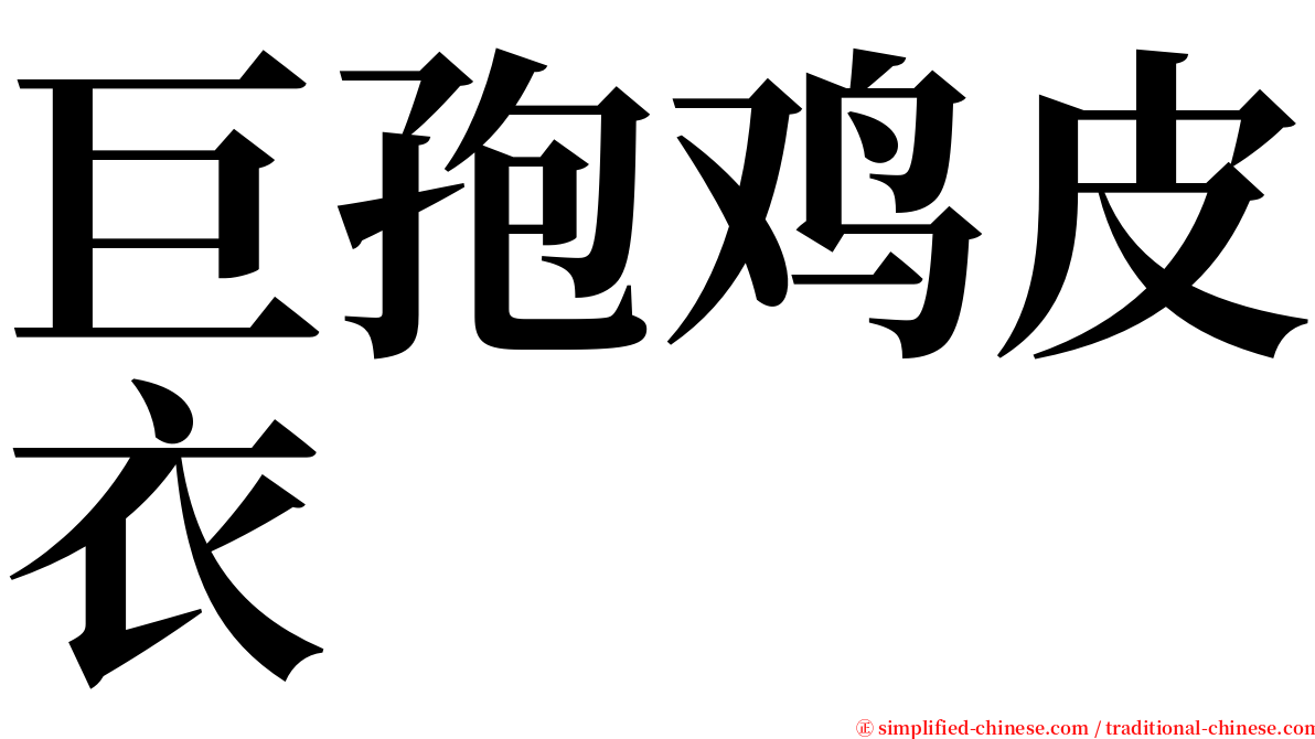 巨孢鸡皮衣 serif font