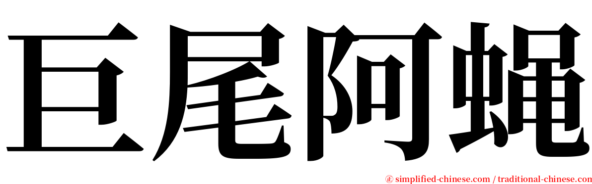 巨尾阿蝇 serif font