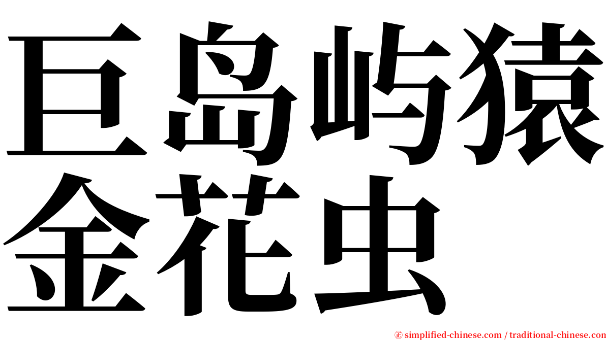 巨岛屿猿金花虫 serif font