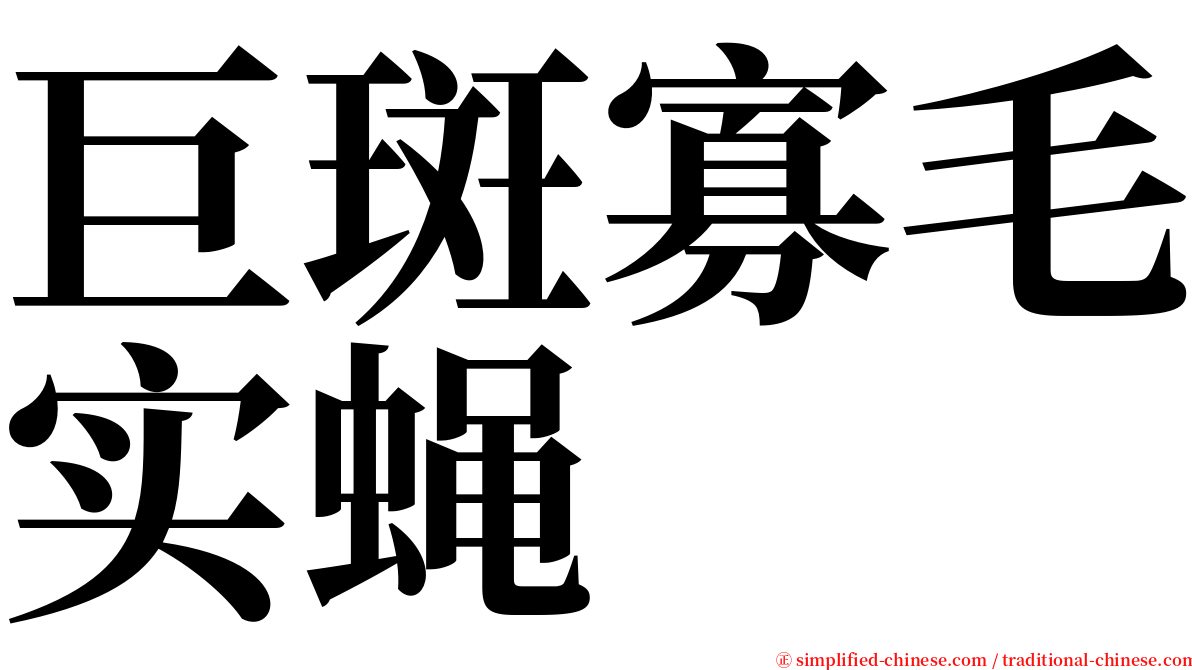 巨斑寡毛实蝇 serif font