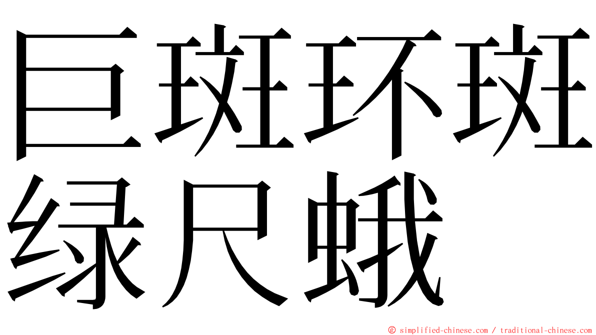 巨斑环斑绿尺蛾 ming font