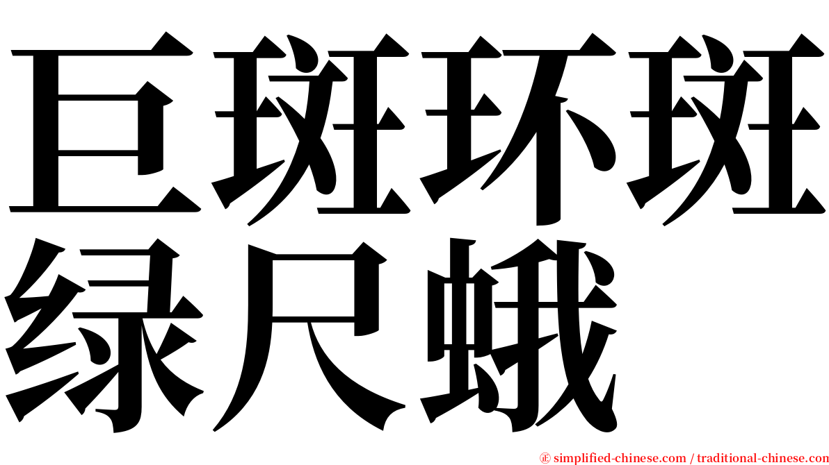 巨斑环斑绿尺蛾 serif font