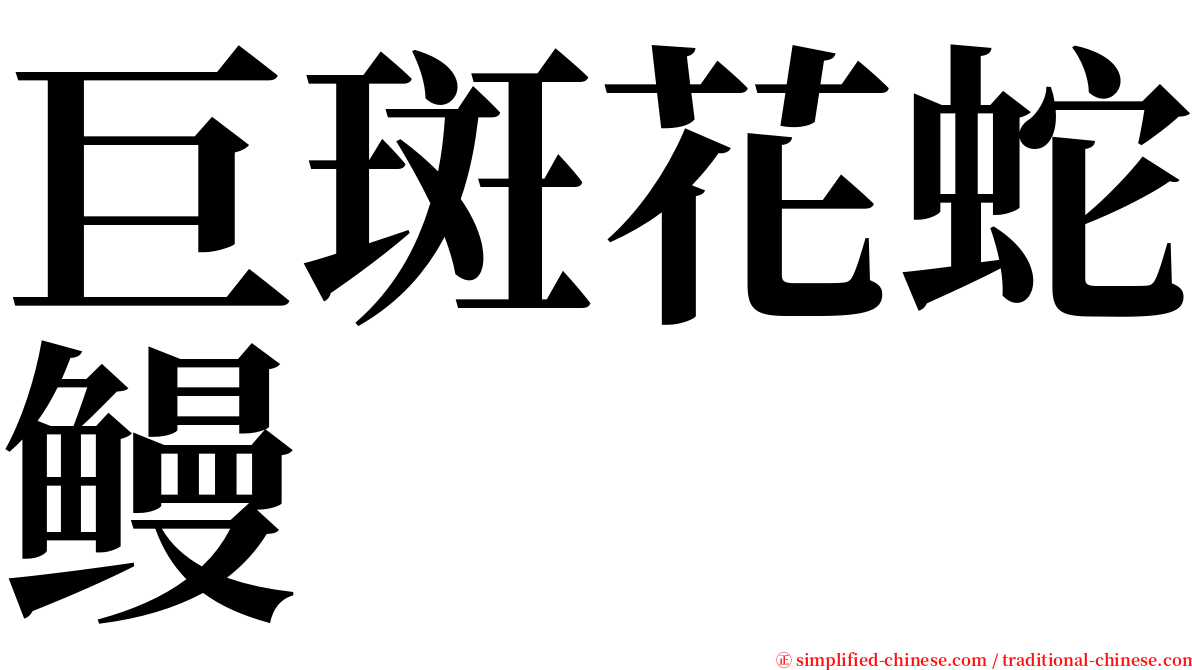 巨斑花蛇鳗 serif font